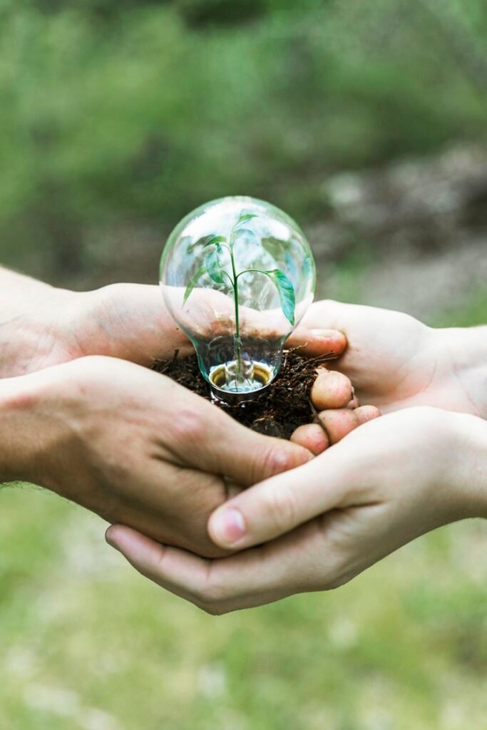 planta-de-concepto-en-bulbo-de-vidrio